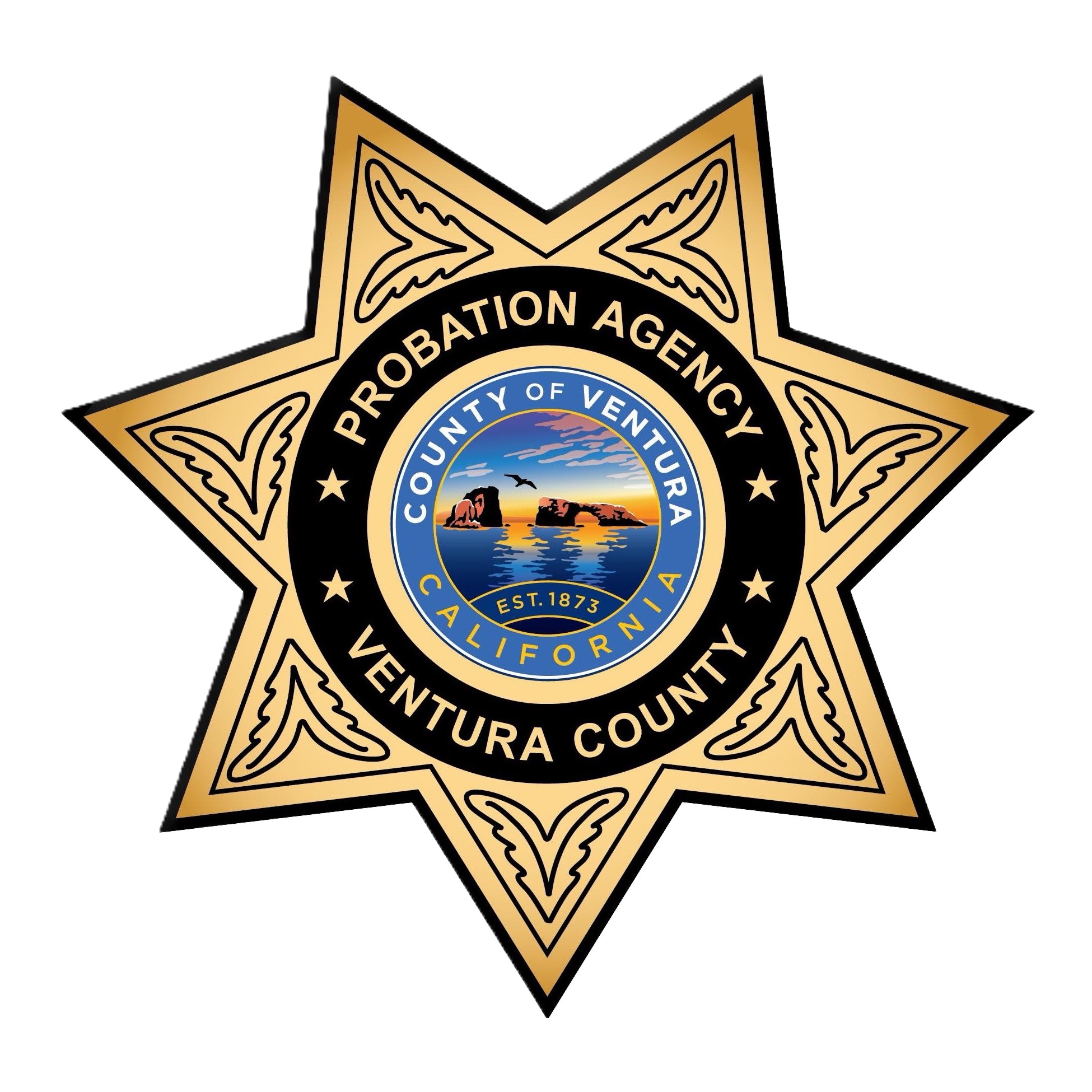 Ventura County Probation Agency RG Open Course Catalog